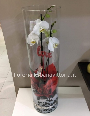 Phalaenopsis in vaso di vetro